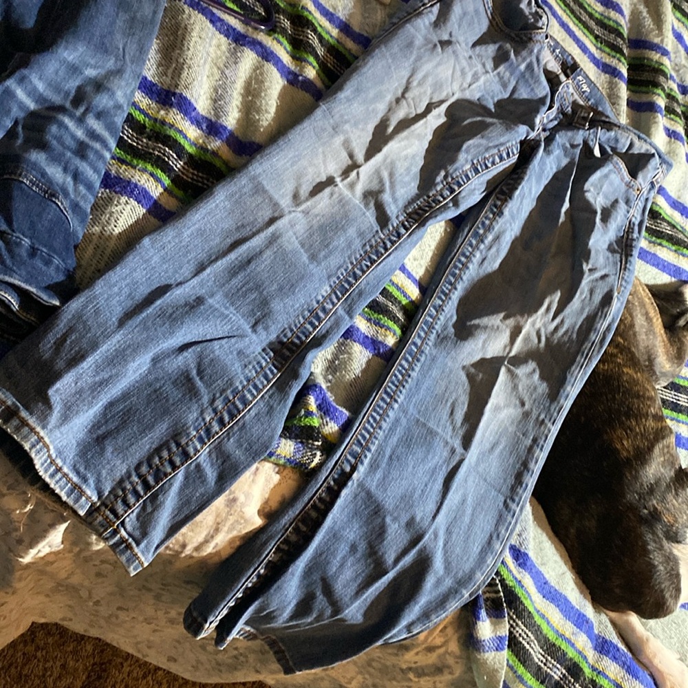 Victorias secret denim low 5 flap jeans. Size 12, hop huggers. Boot cut, flair